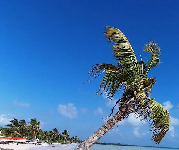Hotel Casa Pascale Punta Allen